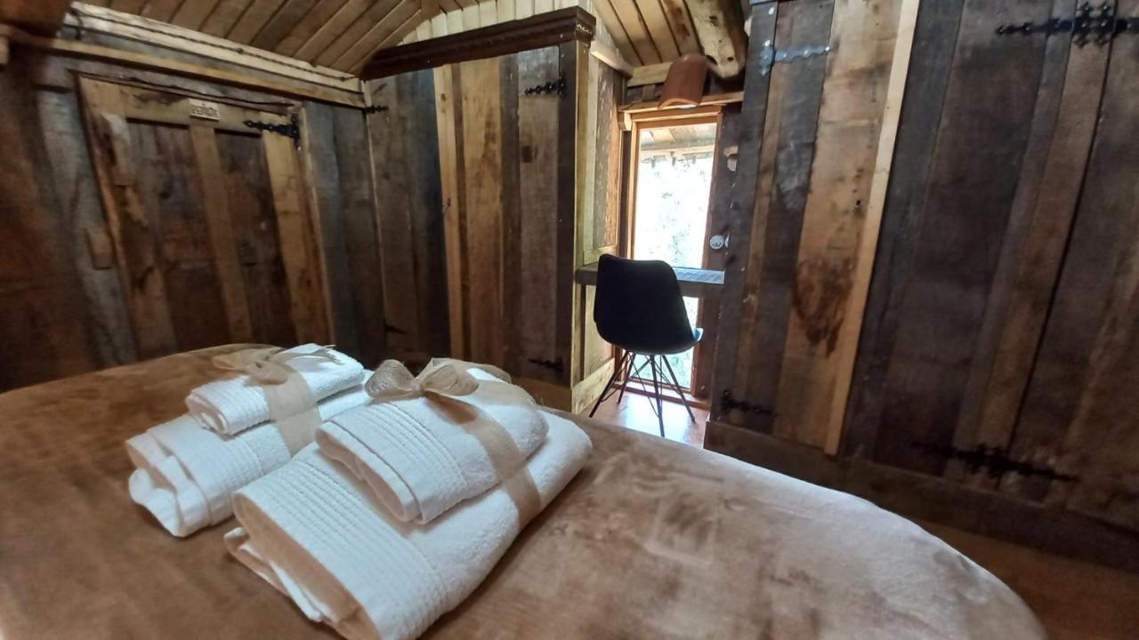Casa Escuela De Torin - La Casona De Torin Guest House Eksteriør bilde